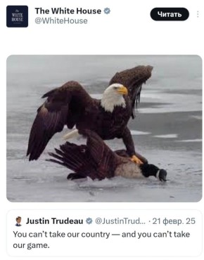 Белый дом троллит Канаду после проигрыша её сборной по хоккею американцам: выложил в сети картинку, где орёл прижал к земле гуся