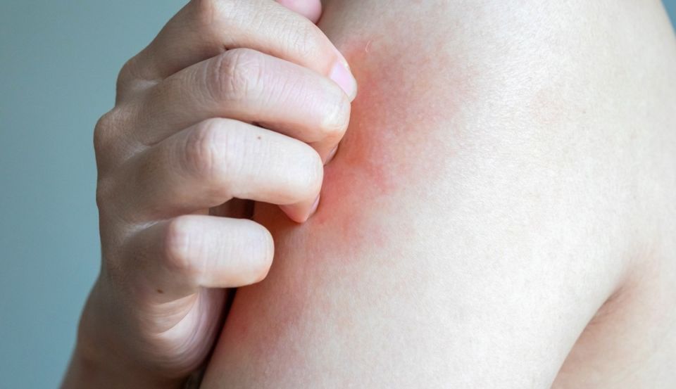 ��� ���� ����� ����: ������ ��� ����� ���� ������ ��� ��������