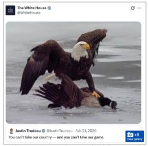 После олимпийской победы над канадской сборной по хоккею Белый орел дом завалил в твиттере канадского гуся