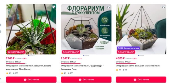 Почему флорариумы с цветным мхом могут стать риском для ваших растений