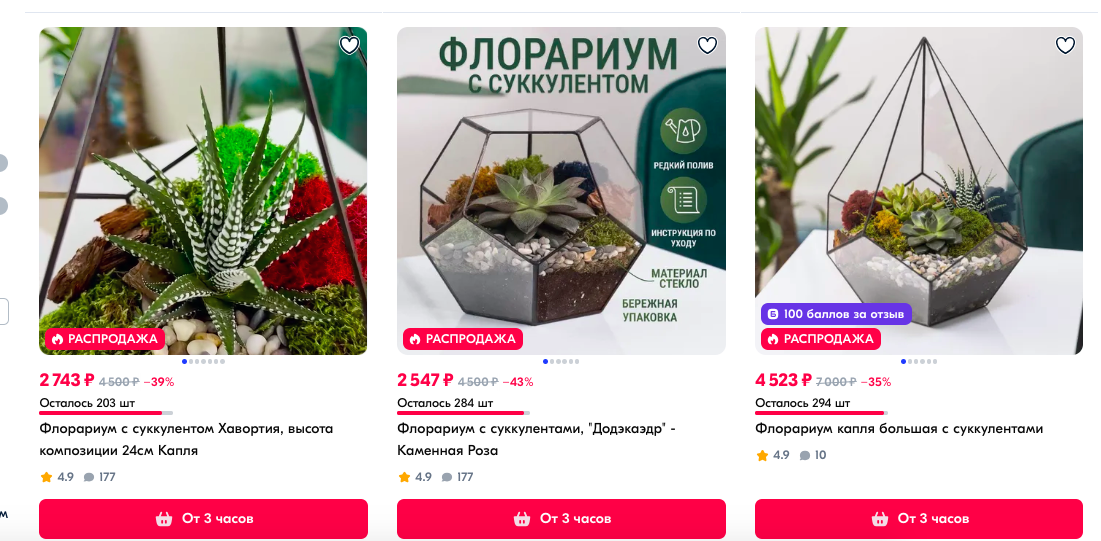 Почему флорариумы с цветным мхом могут стать риском для ваших растений