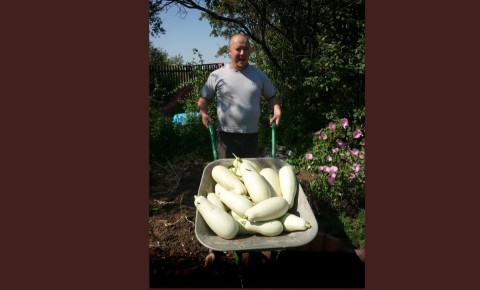 ��� ����� � ������ ������� ������ �� ������ � ������ ���