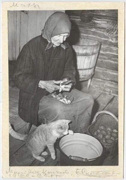 ��� ������� ��������� ������: ������ � ��������