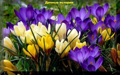 ��� ������� �������� ��� ��� ������ ������: ������� ���������������� ��������