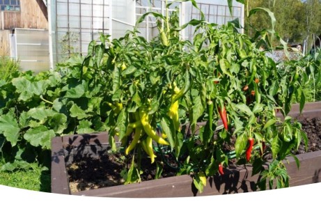 ������ ��������� ������� ����� � 15 �� 21 ����