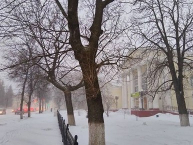 ������ ����, ������!. ������� ��������� ������� ����� �� ������ ��� ����� -3�� ����������� �������� 739 ��. ��. ��. ����� ���-��������, ���� �� ��������� 5 �/� (����: �������� ���������) ��� ����� � ���