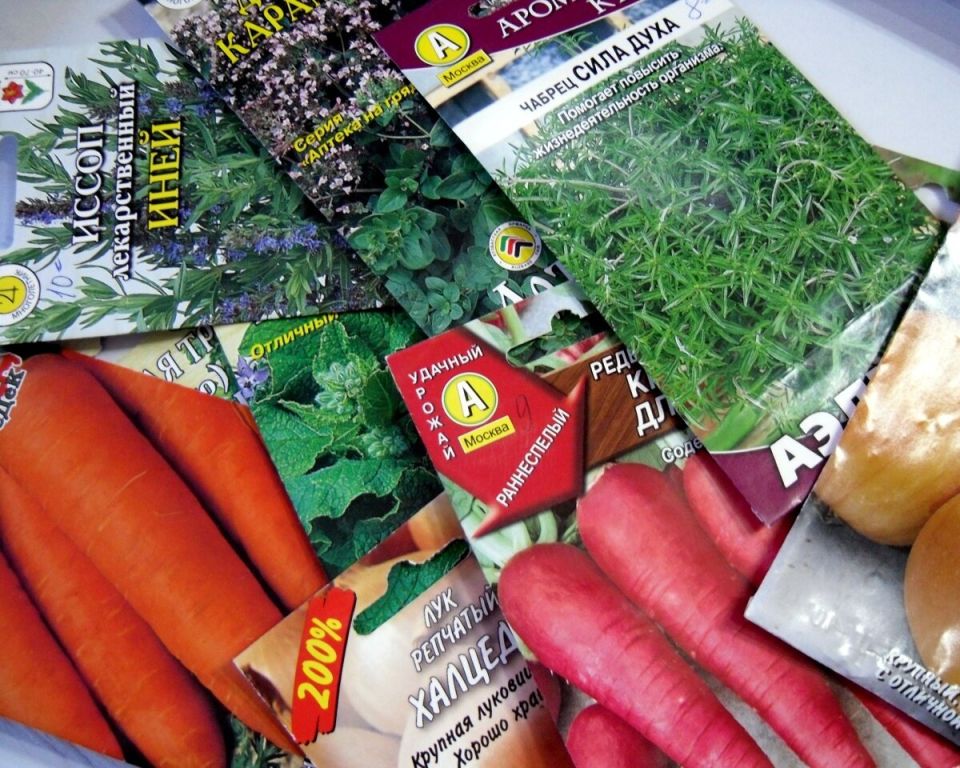 ��� �������� ���������������� ������ ��� ������ ����� ��� �������