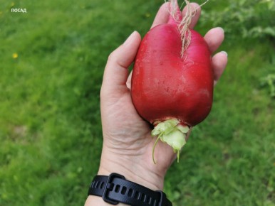 ��� ������� ������� ������� ������� � �������� �������