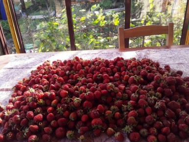 ��� ������� ��������� ������� ���������: ������� ������