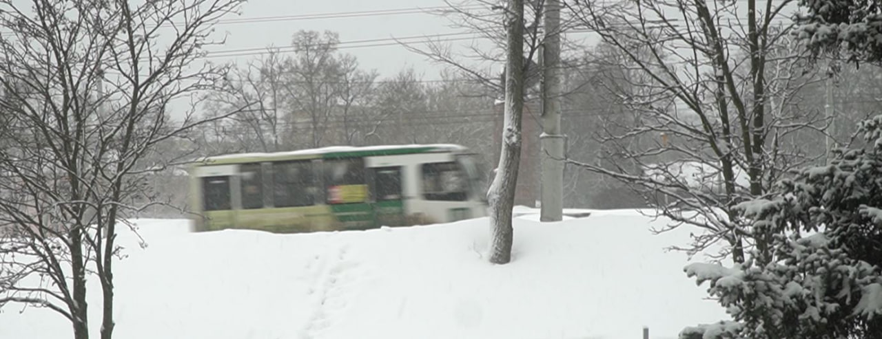 В Орловской области за ночь выпало до 7 миллиметров снега