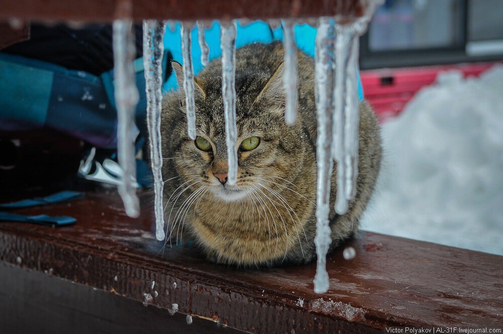 Бдительность — залог безопасности