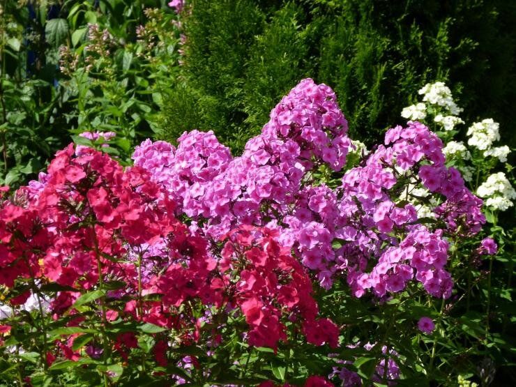 ��� ����������� ������ � ����: ������� ��������� �����