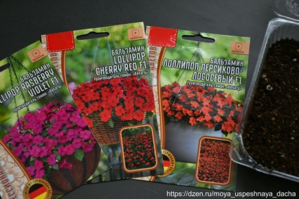 ��� ��������� ���������: ������� �������� ������� � �����