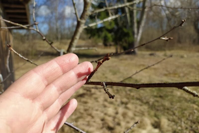 ������� �������� ��������: ����� ������������� ������� ��������� ��������