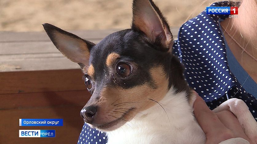 ��������� ������ ��������: � ���� ������ ����� �� ��������� � �������� �����