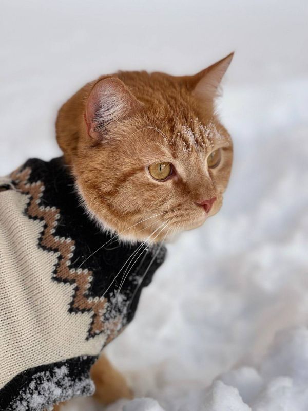 ������ ����, ������!. ������� ��������� ������� ����� �� ������ ��� ����� 0 �� ����������� �������� 744 ��. ��. ��. ����� ��������, ���� �� ��������� 3 �/� ��� ����� � ���