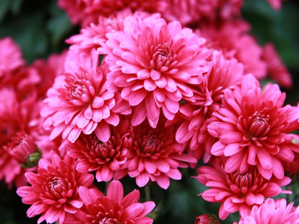 ������� �����: ��� ����� ��������� � ��� ��� ������