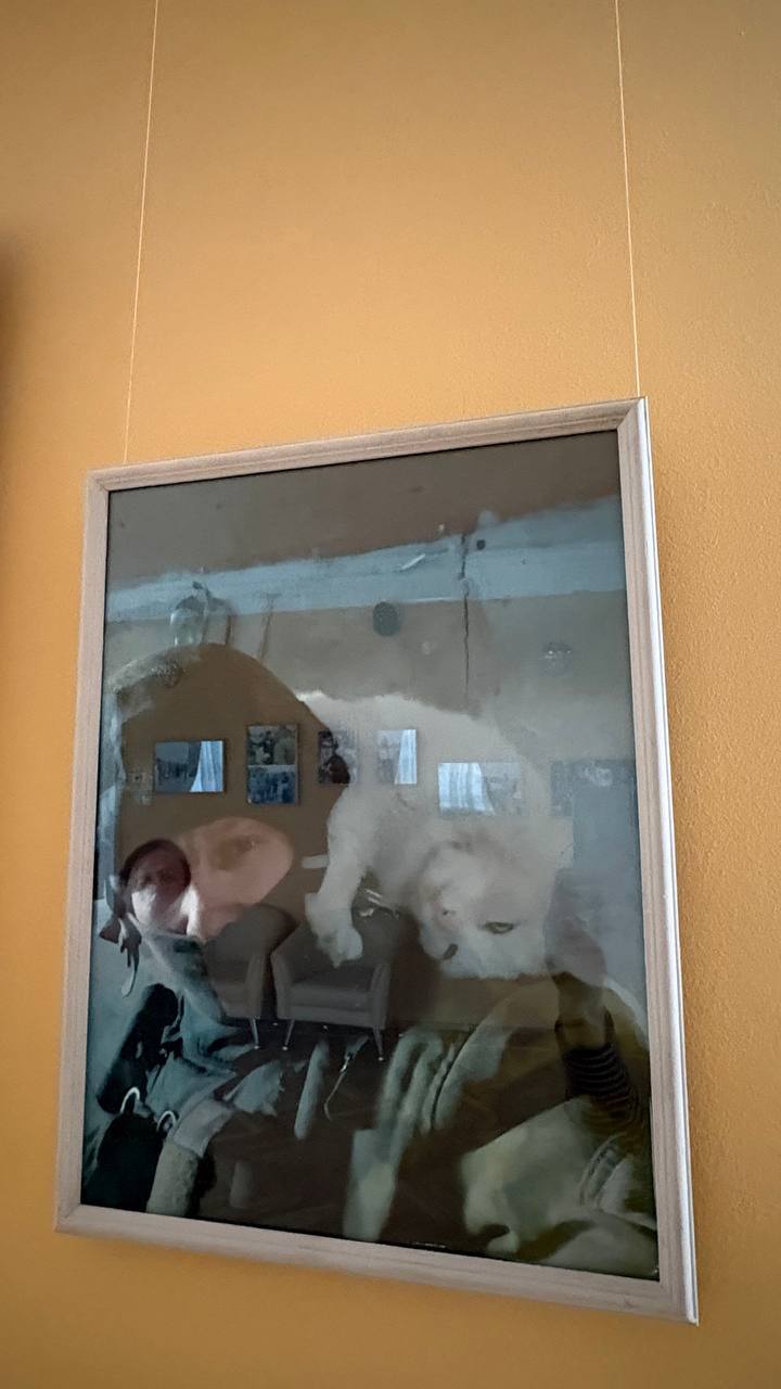 В Орле в «Свободном пространстве» открылась фотовыставка «Своих не бросаем» В Орле в «Свободном пространстве» открылась фотовыставка «Своих не бросаем»