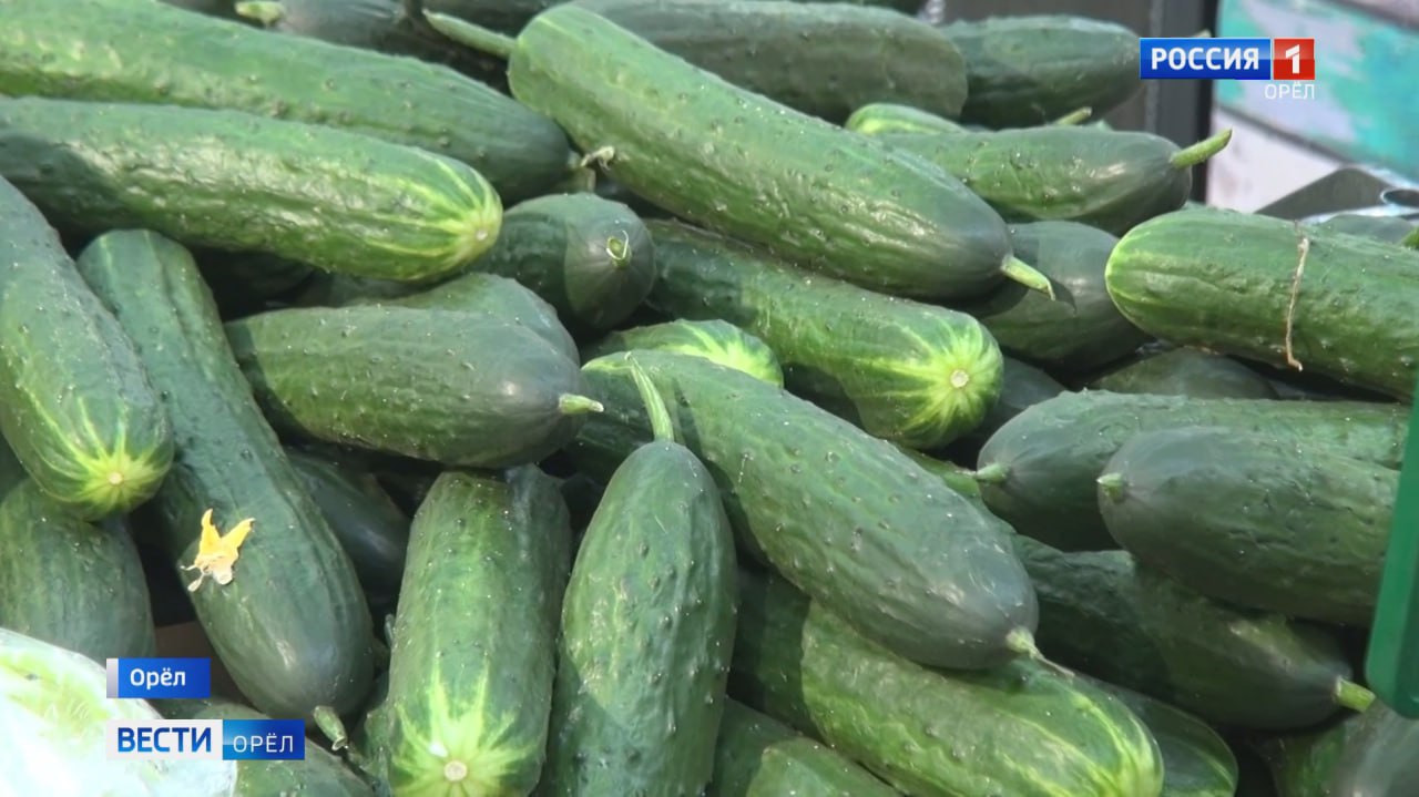 На Орловщине подорожали огурцы