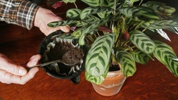 ����������� ��������� ��� ����� �������� ��������