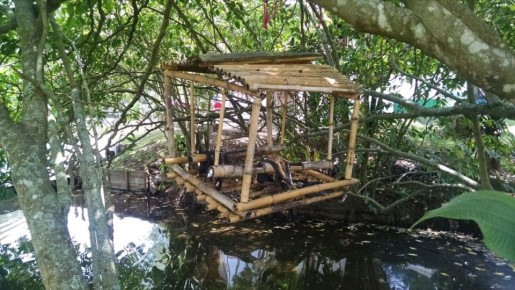 ��������� ������� ����� �� ������: ������� � ������