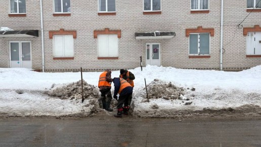 � ���� �������� ������� �������� �����������