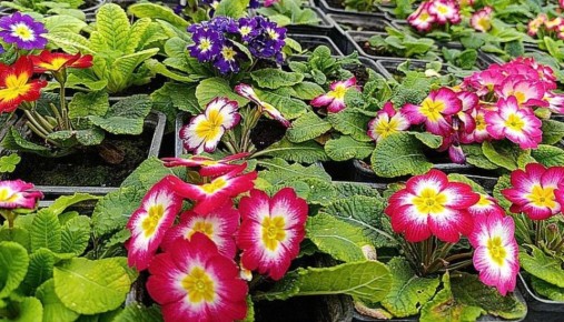 360 ����� ������ ����� �������� ���� � ���� ����