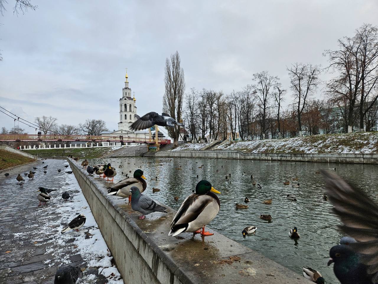 Весна в Орел придет по календарю