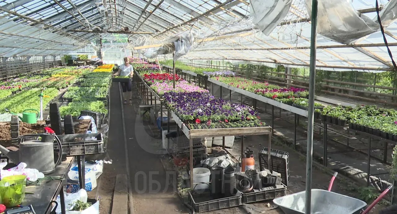 В Орле весной и летом на клумбах расцветут 360 тысяч ярких бутонов