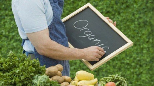 Провалившиеся садовые тренды: почему мода не всегда работает