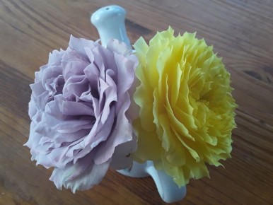 ��������� ��������� ���: ��� ������� �������� � ����