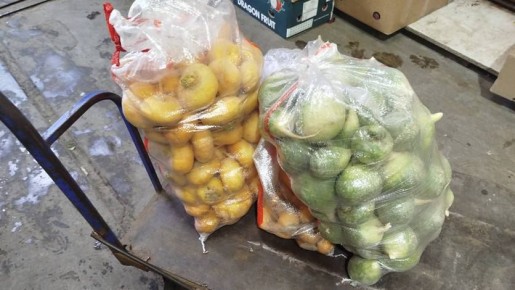 � ���� ������ � ���������� 80 ����������� ����������� ������