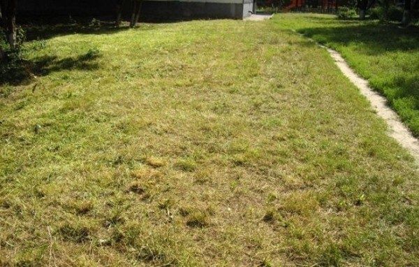 ������ ������� �����: ������� � ������� ��������������