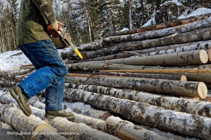 Индекс состояния леспрома фиксирует, что его спад пошел на пользу лесному фонду, стало известно «Ъ»