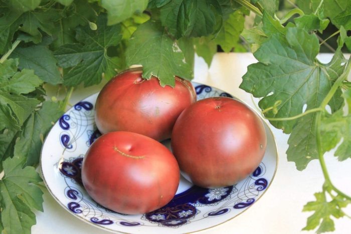 Томат Южная ночь: секреты успешного урожая и уникальные характеристики