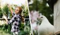 Как отпугнуть голубей с вашего огорода: секретные растения