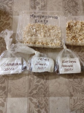 Как вырастить персик из косточки: шаги к успеху