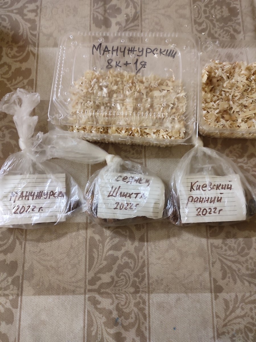 Как вырастить персик из косточки: шаги к успеху