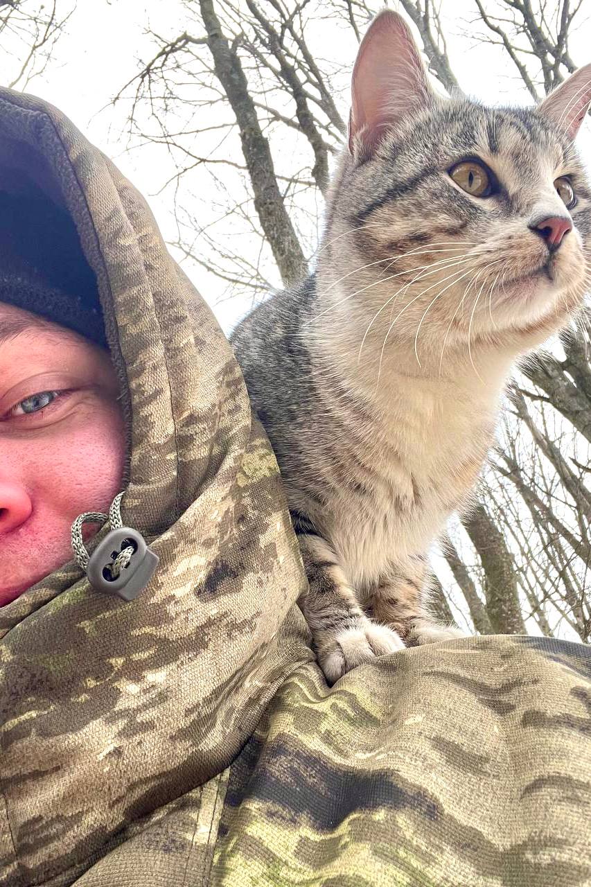 1 марта в России отмечают День кошек 1 марта в России отмечают День кошек