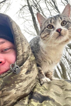 1 марта в России отмечают День кошек