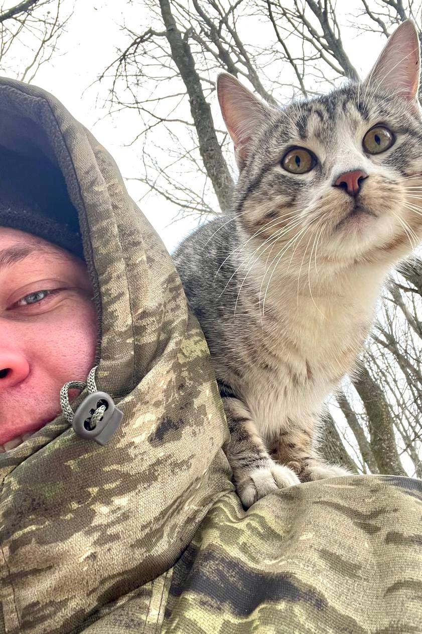 1 марта в России отмечают День кошек