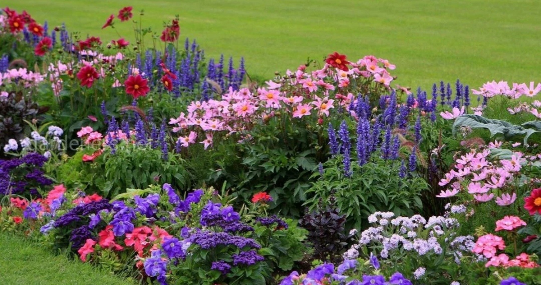 Как создать цветник для ленивого садовода: рекомендации по выбору неприхотливых растений