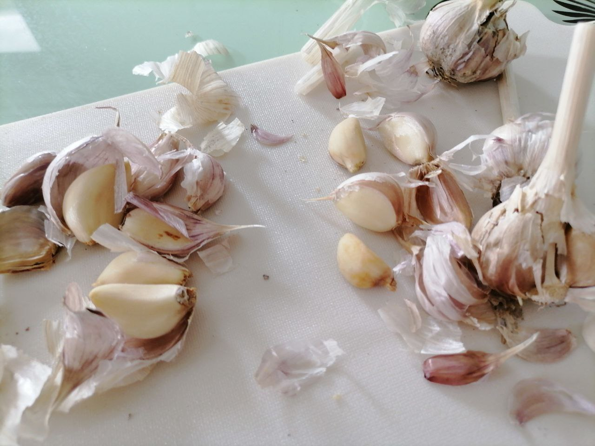 Как правильно хранить озимый чеснок: секреты и советы садоводов