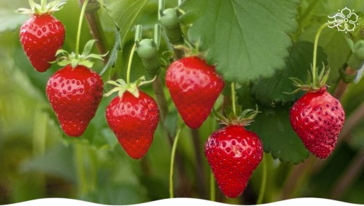 ����� ����� ���������, ������� ����� ����������� � ���� ������