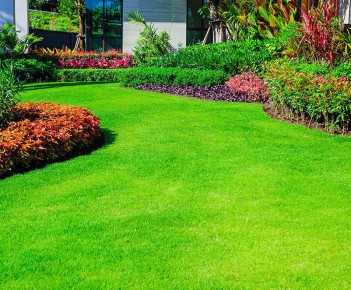 ��� ��������� ��������� �� �������: ������� ��������� � ������ ������