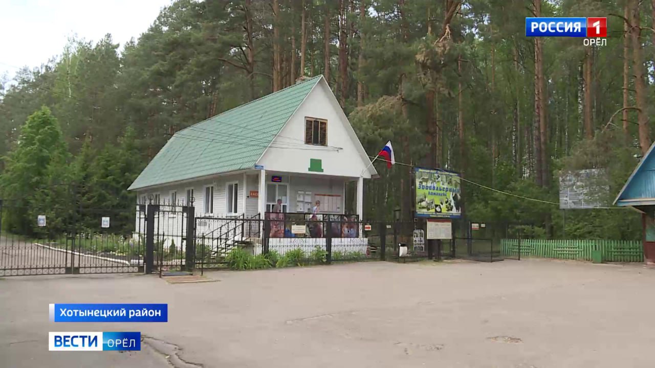 В зоовольерном комплексе под Орлом нашли нарушения содержания животных