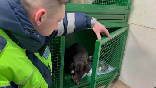 � ���� ���������� ����� ������� ������ � ������� �� � ����������