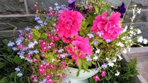 ��� ��������� ������� � �������: ������� ��������� ������ � �����