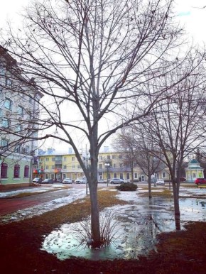 Доброе утро, друзья!. Сегодня синоптики обещают дождь со снегом Днм будет +2°С Атмосферное давление 746 мм. рт. ст. Ветер северо-западный, дует со скоростью 5 м/с (Фото: Альберта Рассолова) НАШ КАНАЛ В МАХ