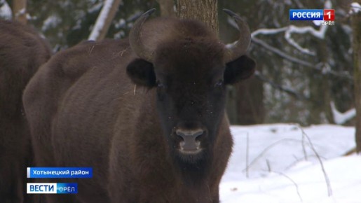 ��������� ������ � "��������� �������" ��������� 900 ������